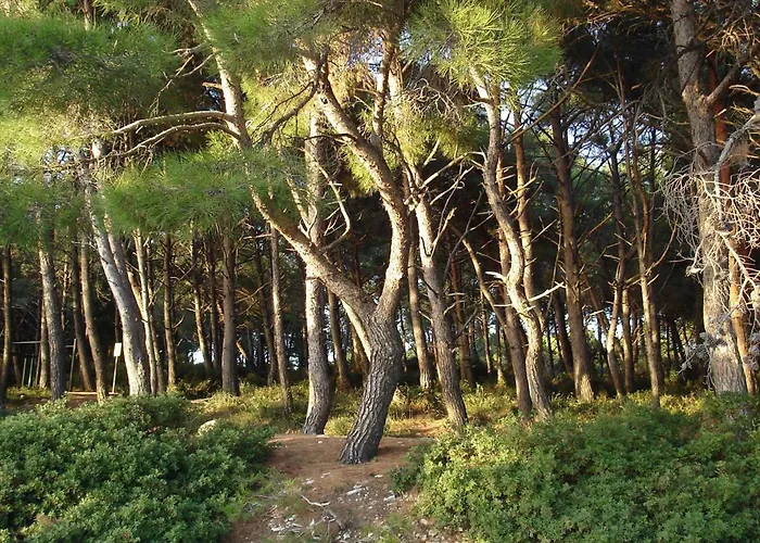 In - Istrien 11068 דירה פולה