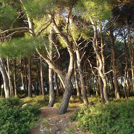 In - Istrien 11068 Apartmán Pula